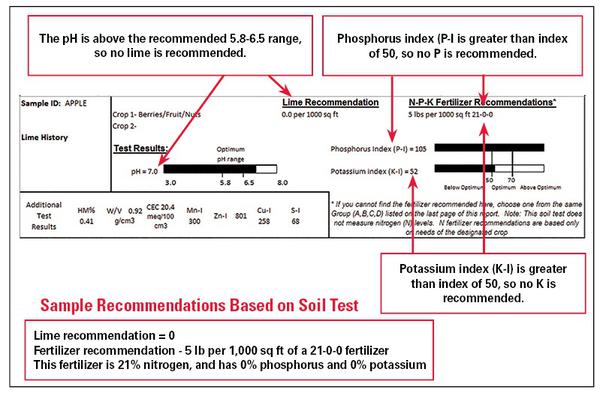 Berries/Fruit/Nuts soil test report- pH above range, Phosphorus above index, Potassium above index- No lime, P or K recommended.